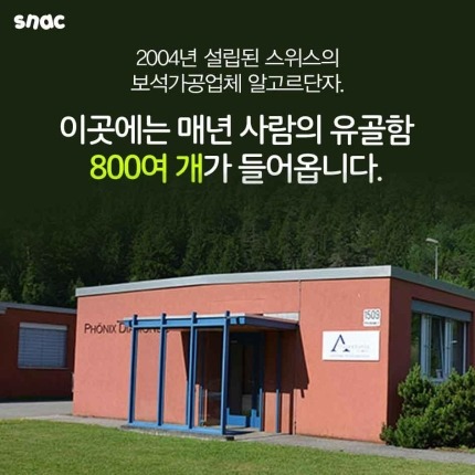  고인의 유골로 만든 다이아몬드 | 인스티즈