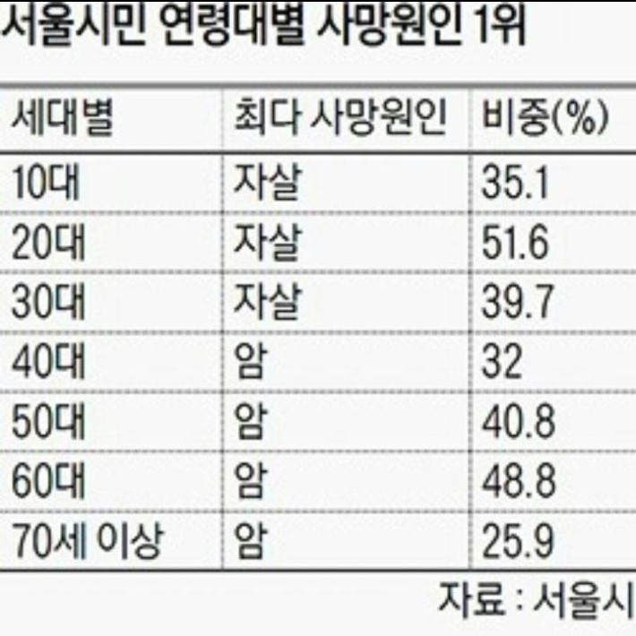 서울시민 사망원인 | 인스티즈