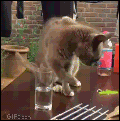 어리둥절.gif | 인스티즈