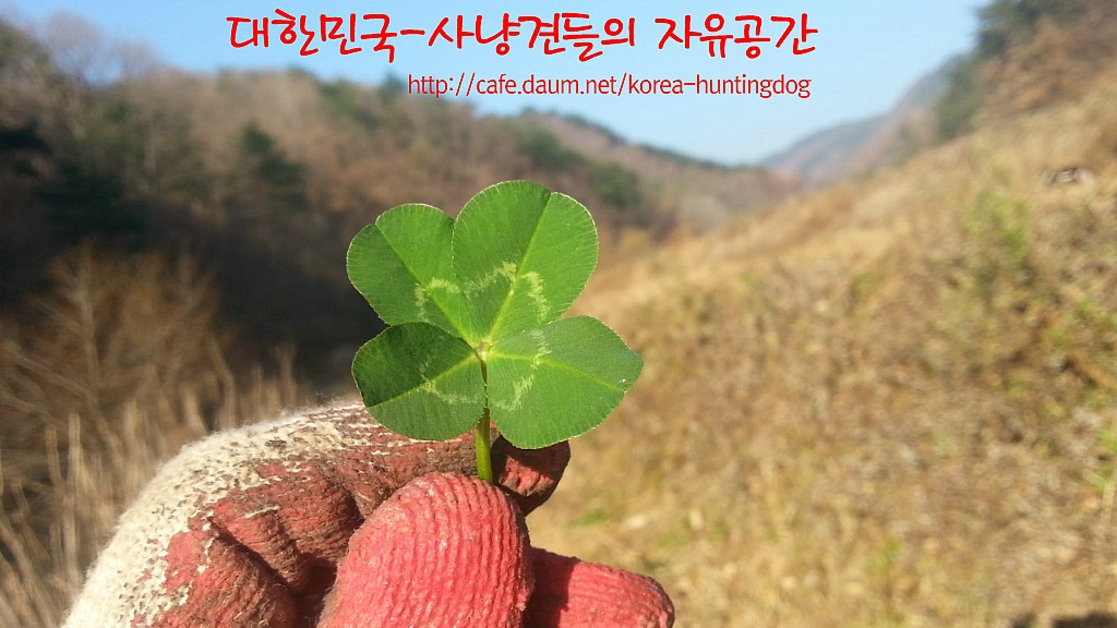탕집 이미지