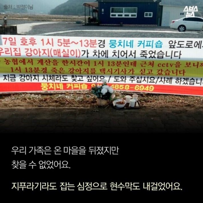 가족같은 강아지의 죽음 | 인스티즈