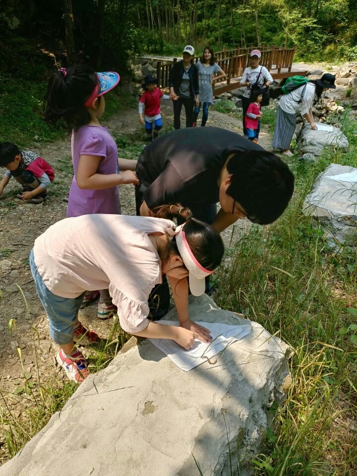 연이숲 이미지