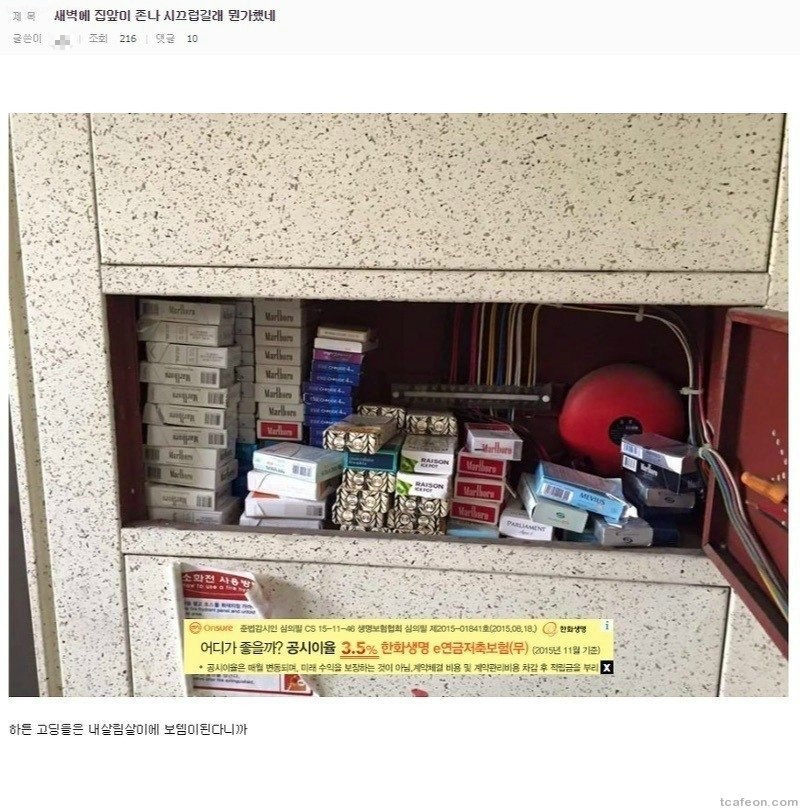 디씨인과 40인의 일진 | 인스티즈