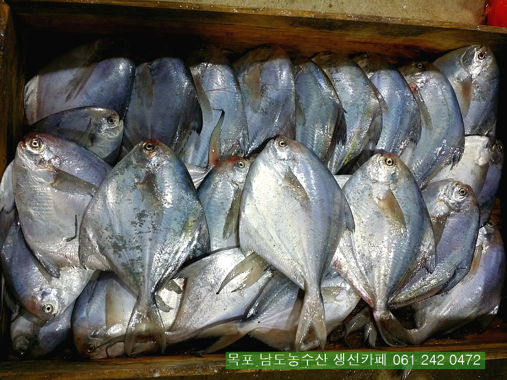 보교기획 이미지