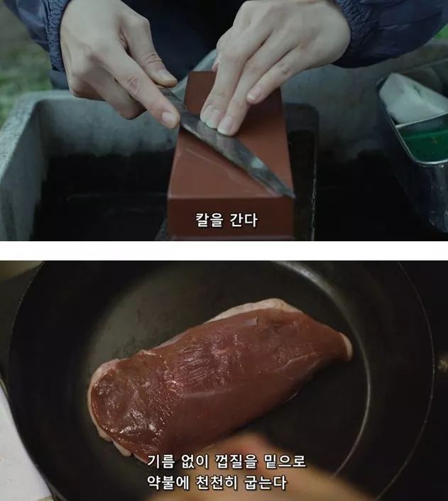 시골오리 이미지