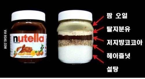누텔라가 맛없을수가 없는 이유 | 인스티즈