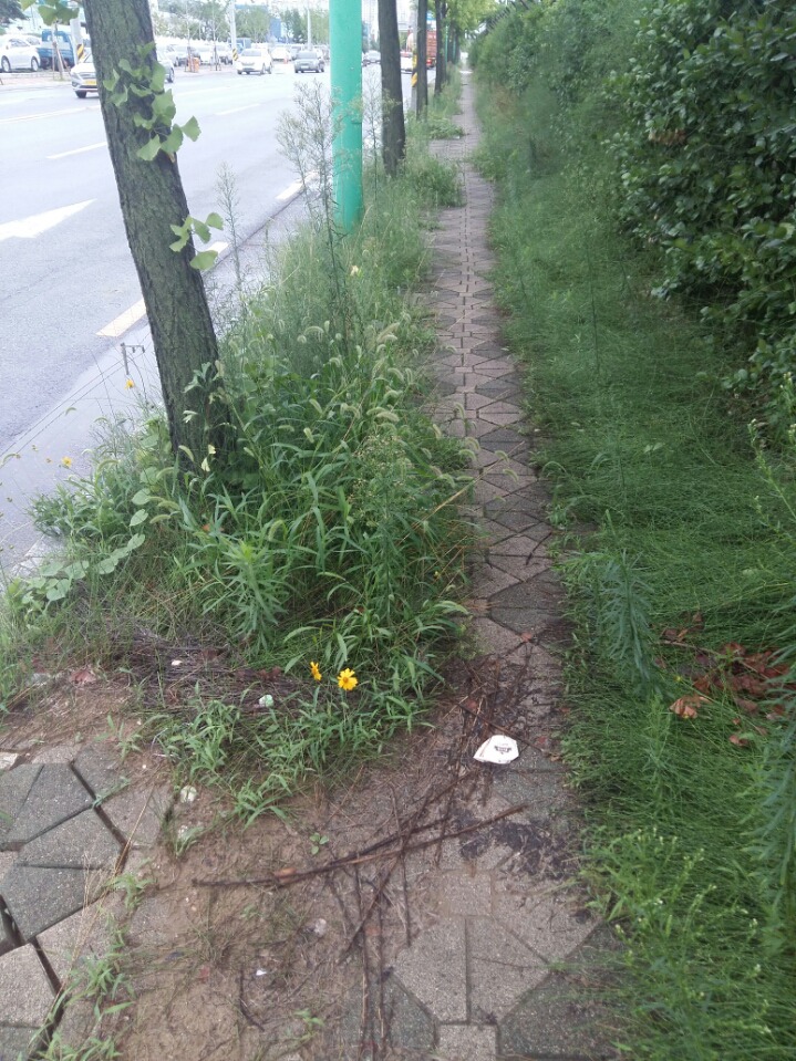 유동인구 적은데 관리까지 부실하게한 지방중견도시의 인도 JPG | 인스티즈