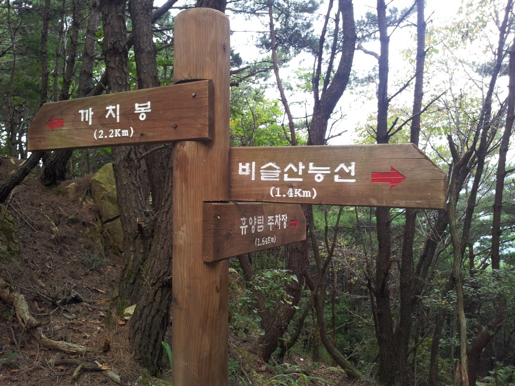 화원자연휴양림 이미지