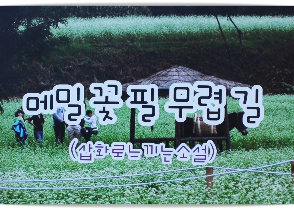 봉평메밀 이미지