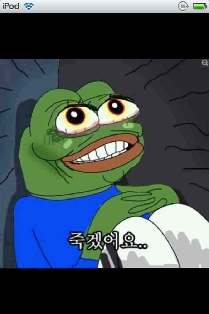 개구리 짤 모음 | 인스티즈