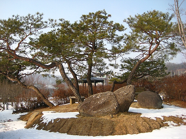 머리박사 이미지
