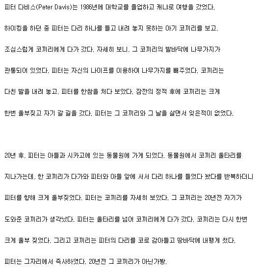 코끼리의 기억력 | 인스티즈
