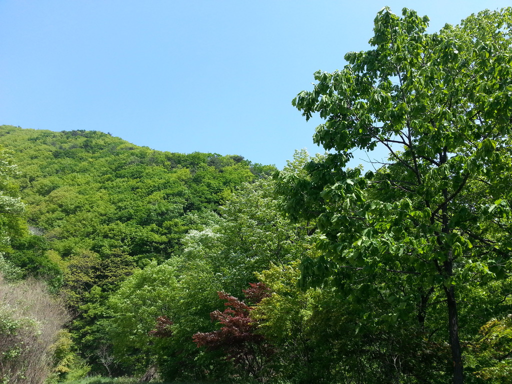 빛바람 이미지