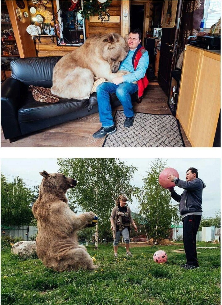 곰은 우리가족 | 인스티즈