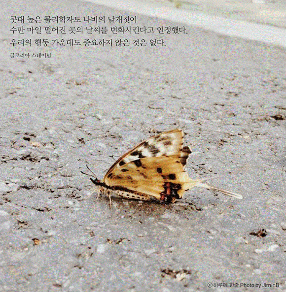 평생 삶의 결정적 순간을 찍으려 발버둥 쳤으나 삶의 모든 순간이 결정적 순간이었다 | 인스티즈