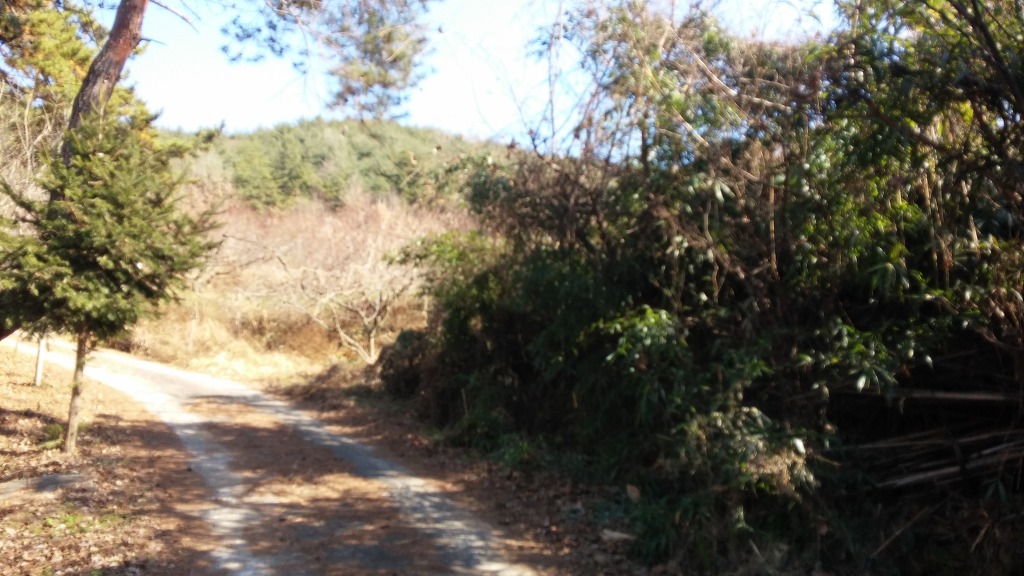 산외면사무소 이미지