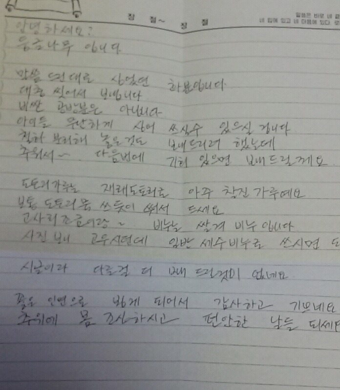 동글나무 이미지