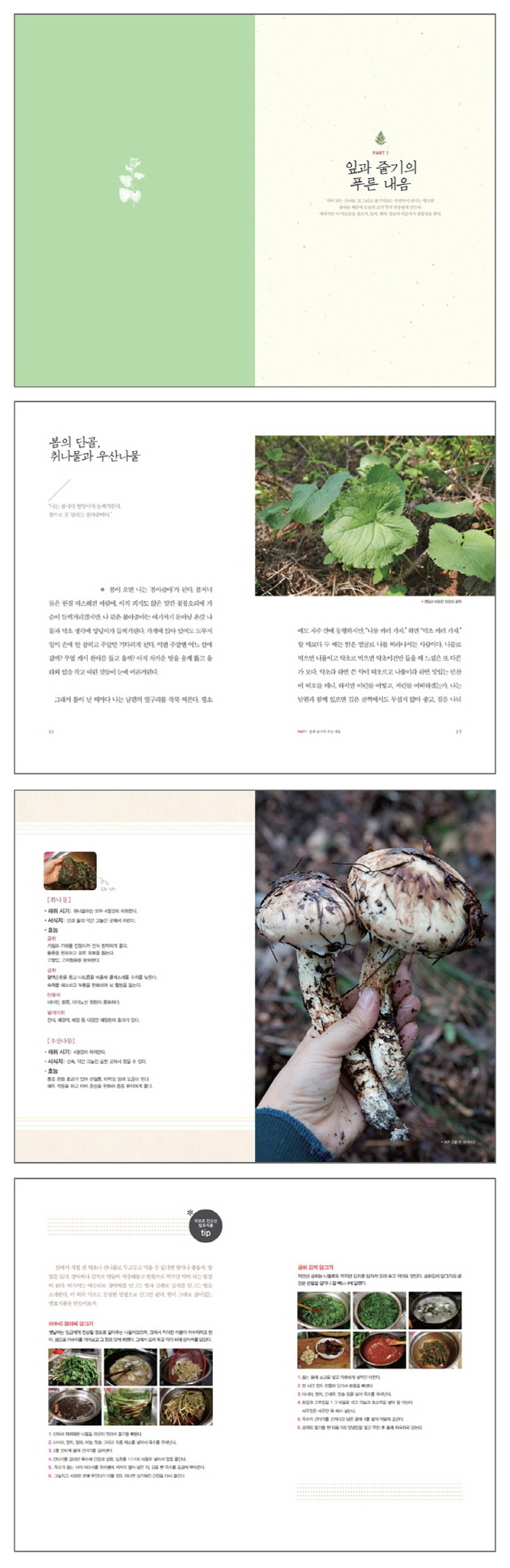 그녀의산약초 이미지