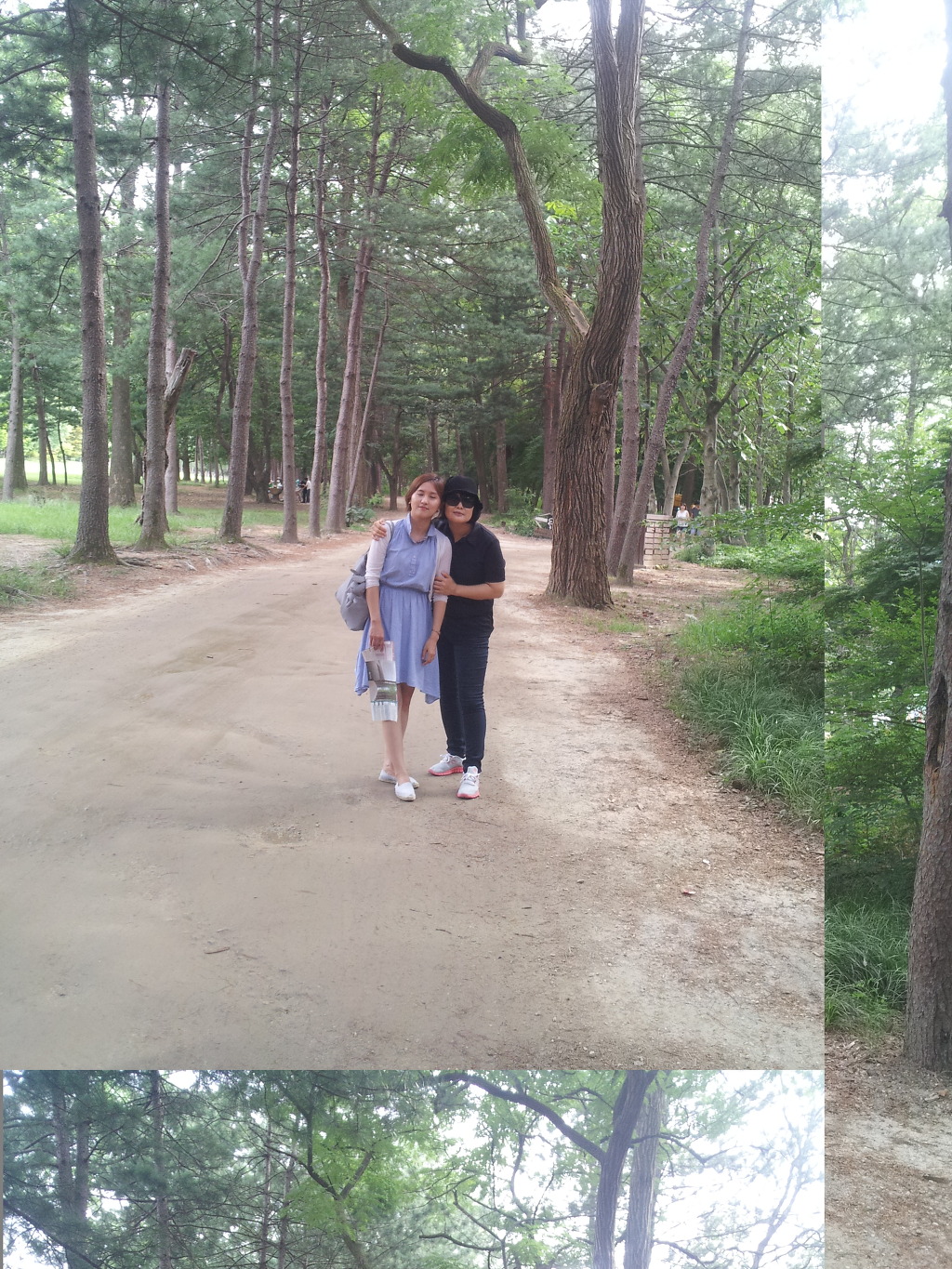 디카사진방 이미지