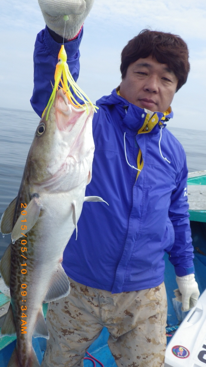 성복호 이미지