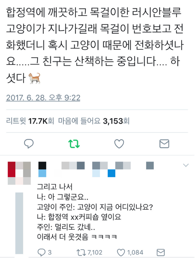 깨끗한 고양이가 돌아다니길래.twt | 인스티즈
