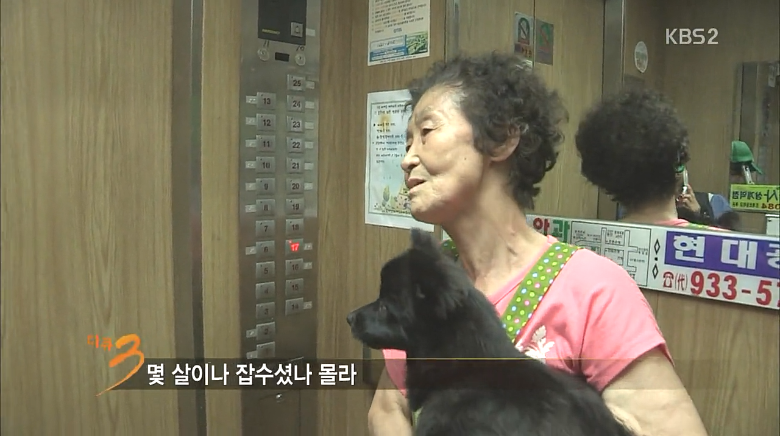 다큐3일에 나온 노인택배.80살 넘어도 12시간을 일하는 사람들 | 인스티즈