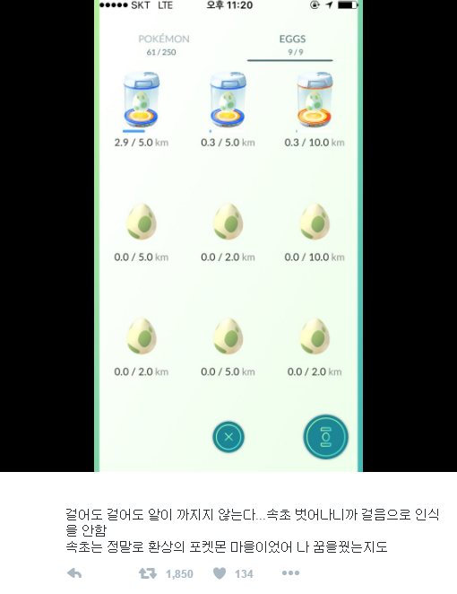 속초에서 벗어나자 부화되지 않는 알을 보고 망연자실한 트레이너 (포켓몬 고) | 인스티즈