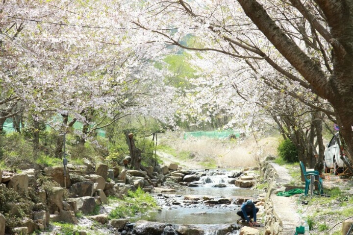 호림 이미지