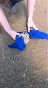 1초만에 속시원해지는 움짤.gif | 인스티즈