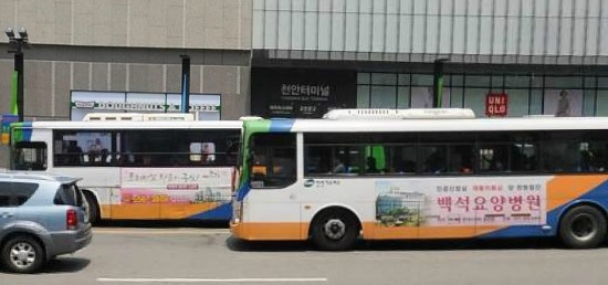  시내버스들이 난폭한 것으로 유명하다는 도시들 | 인스티즈