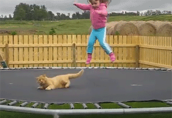 고양이 괴롭히는 어린 소녀.gif | 인스티즈