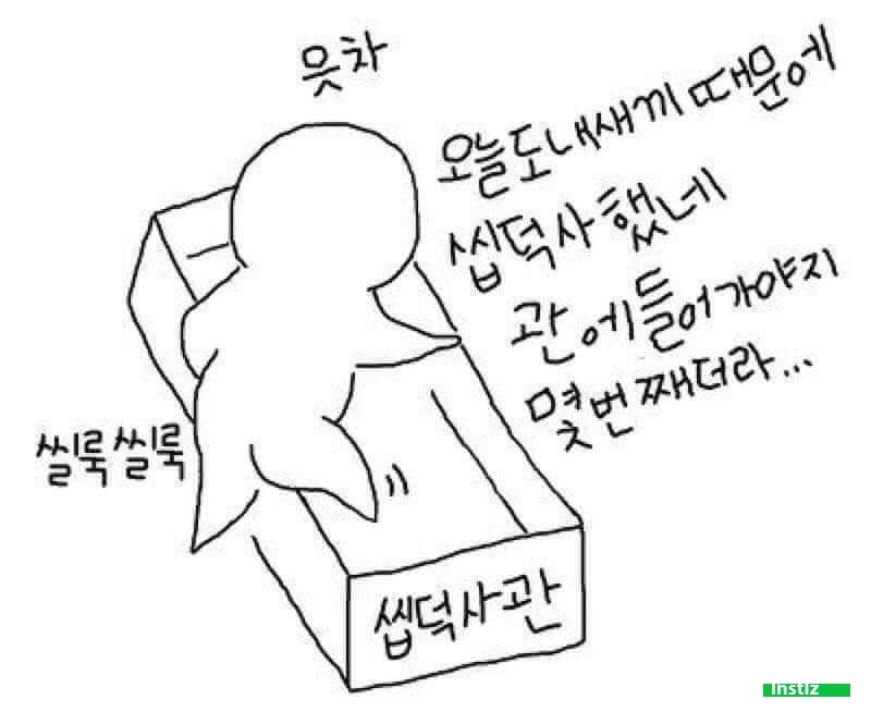 새끼 고양이와 올빼미.JPG | 인스티즈