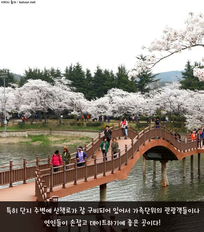 혼자 떠나기도 좋은 경주 여행 | 인스티즈