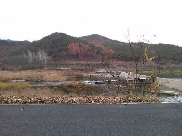 마수와 이미지