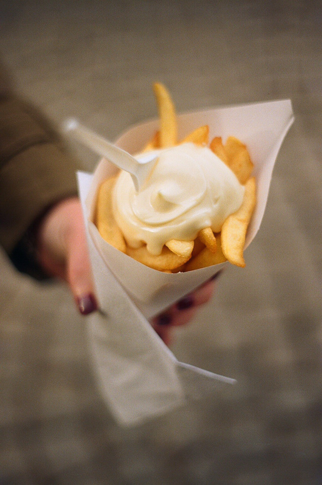 네덜란드 대표 간식 프리츠(Frites) | 인스티즈