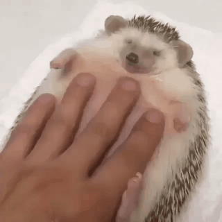 배 마사지.gif | 인스티즈