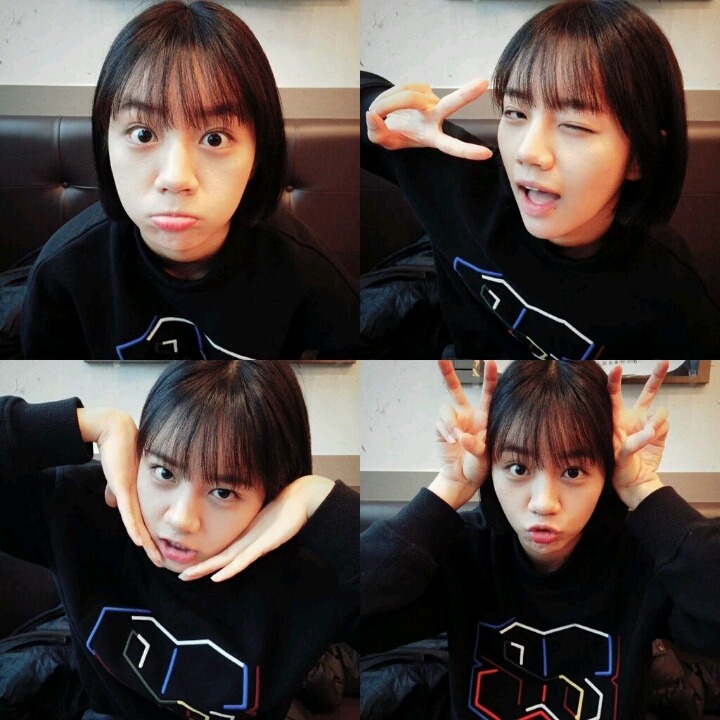 찍어 이미지