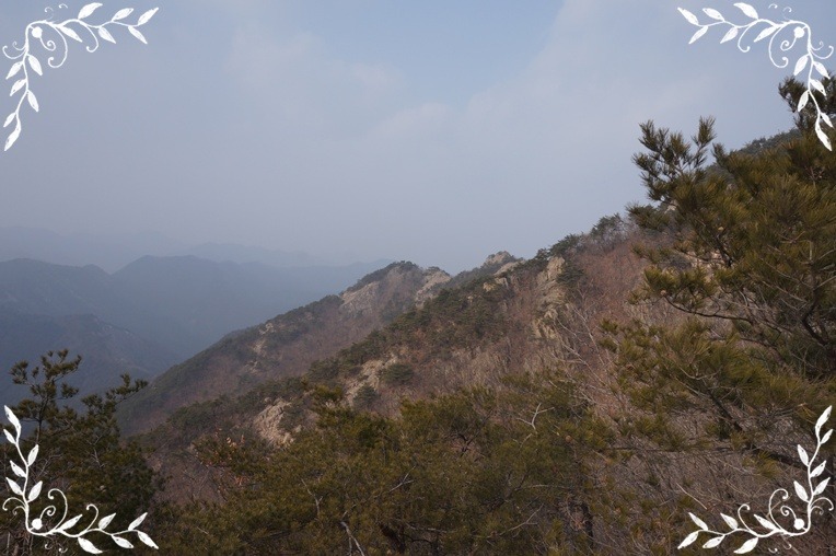 진악산 이미지