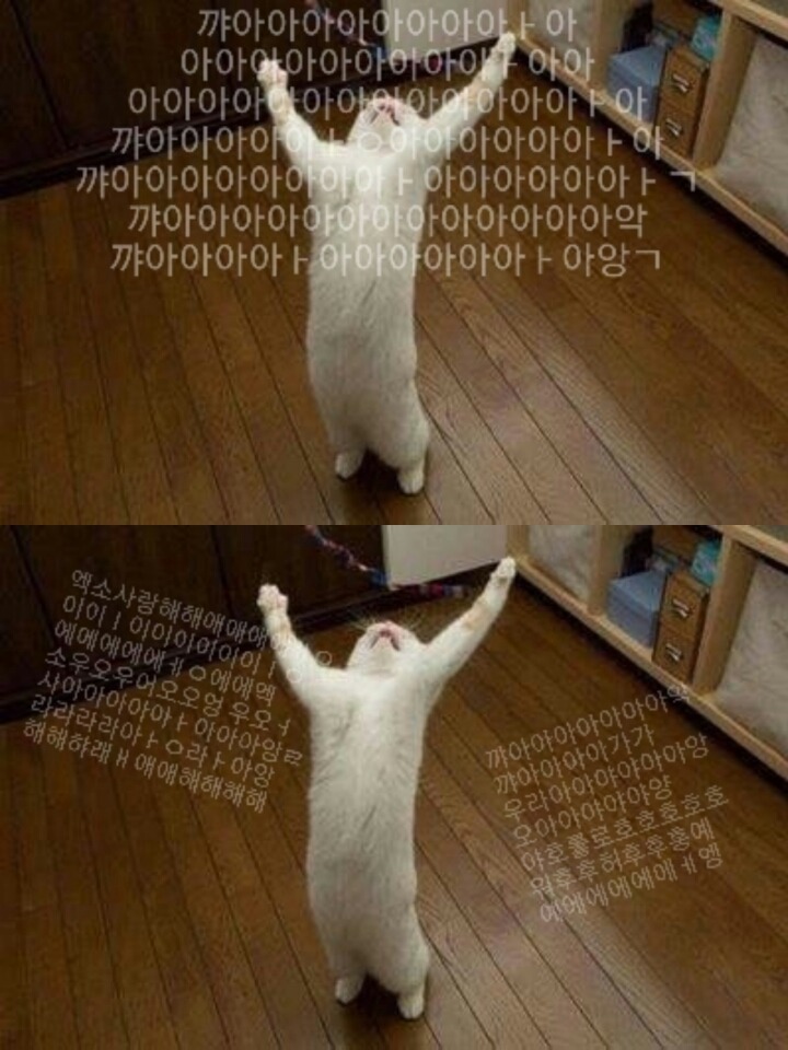 문재인정부 아래 우주쇼 시작ㄷㄷㄷㄷ.jpg | 인스티즈