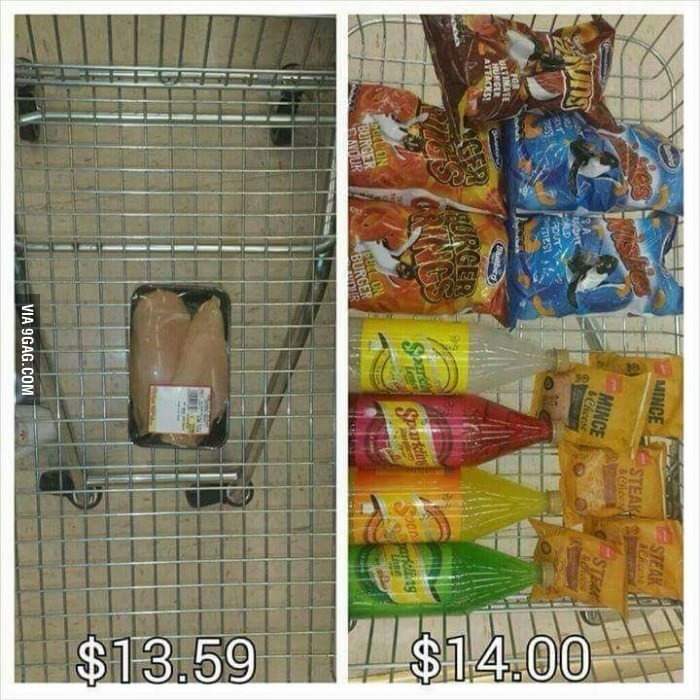 미국에 고도비만이 많은이유 | 인스티즈