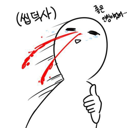 새끼 고양이와 올빼미.JPG | 인스티즈