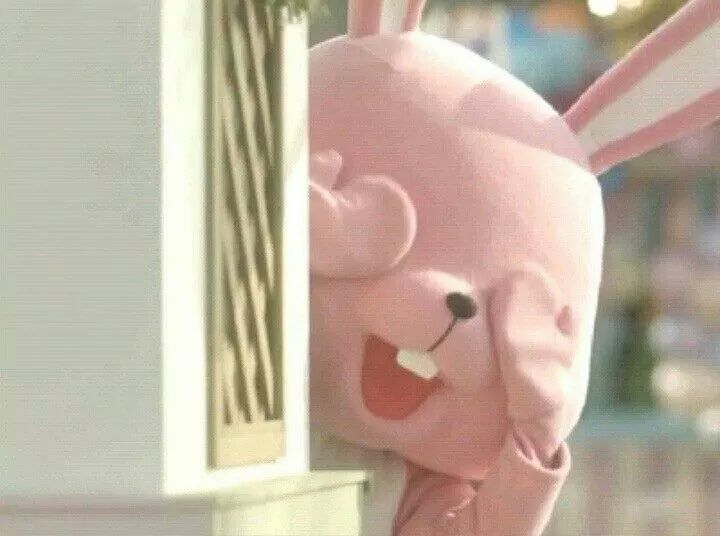 블리 이미지