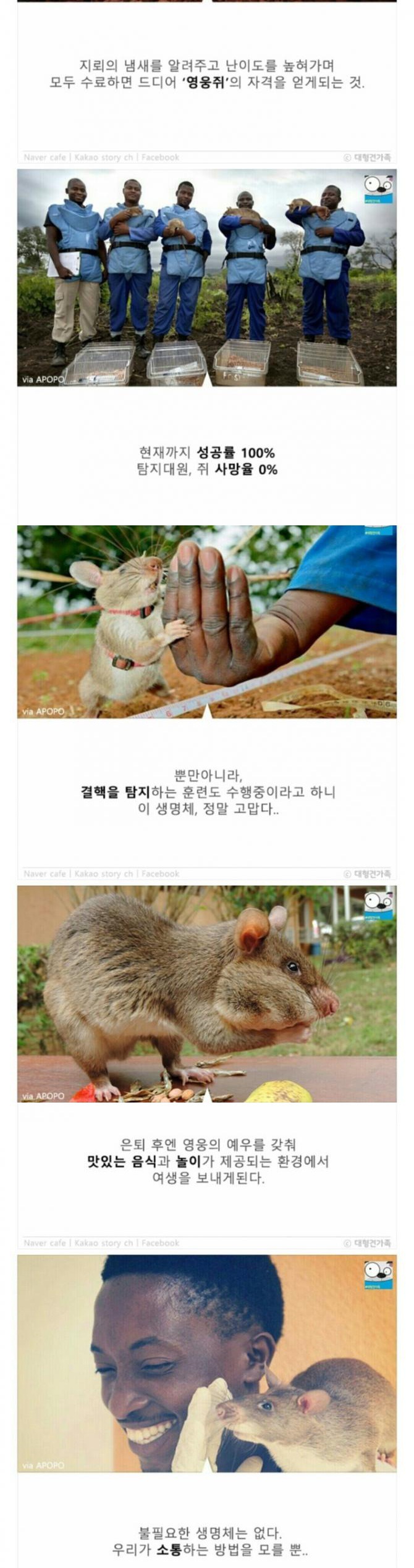 성공률 100％ 사망률 0％의 지뢰제거법 | 인스티즈