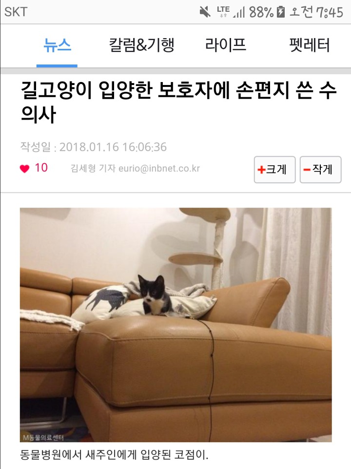 길고양이 입양한 보호자에 손편지 쓴 수의사 | 인스티즈