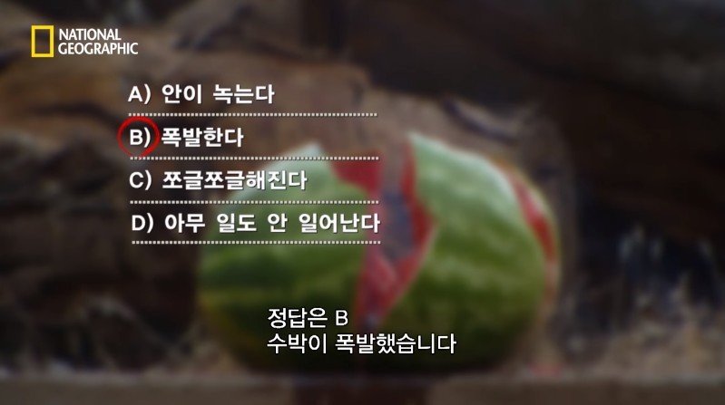 수박 안에 1만 볼트를 내보내면 생기는 일 | 인스티즈