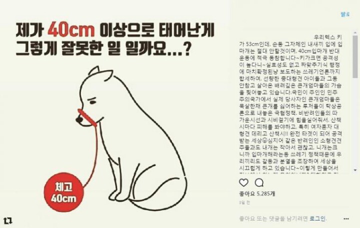 입마개 반대운동 | 인스티즈