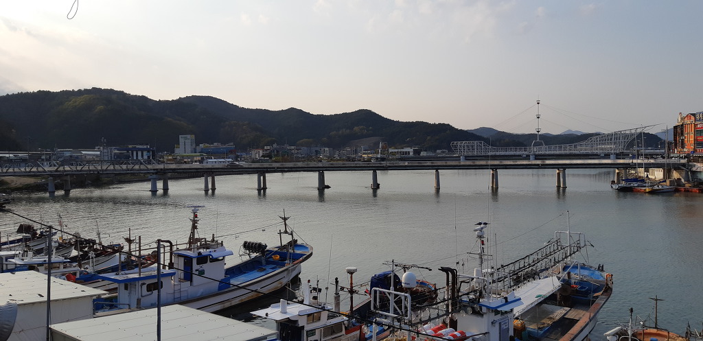강구항 이미지