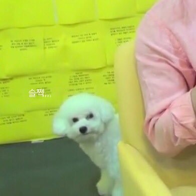 다꼬기 이미지