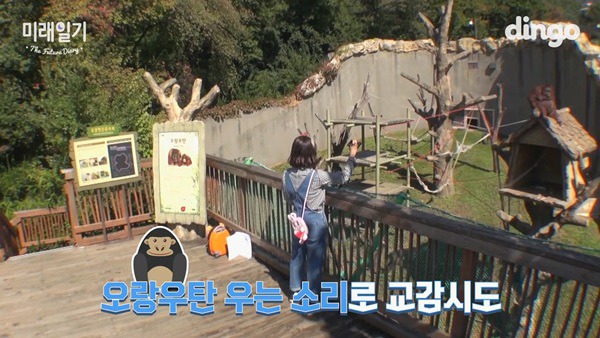 오랑우탄 만난 최유정ㅋㅋ.jpgif | 인스티즈