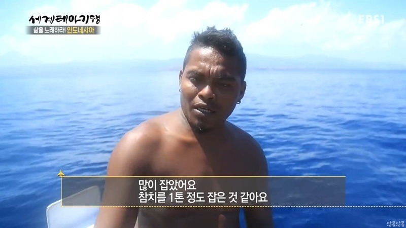 인도네시아 참치잡이 | 인스티즈